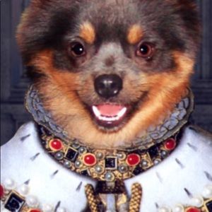 Meet your Posher, Laura